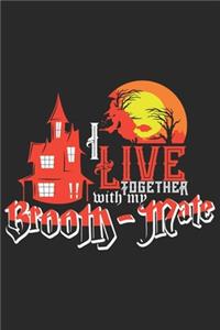 I live together with my Broom-Mate
