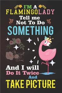 I'm A Flamingo Lady