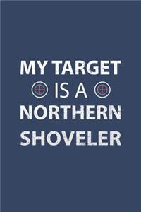 My Target Is A Northern Shoveler