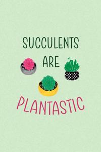 Succulents are Plantastic
