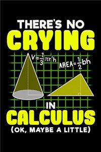 There's No Crying In Calculus (OK, Maybe A Little)