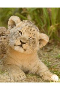 The Incredibly Cute Little Lion Cub Dot Grid Bullet Journal