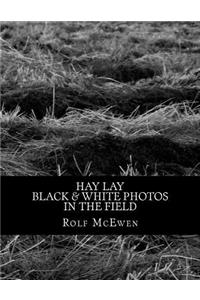 Hay Lay - Black & White Photos in the Field
