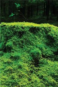 Moss Carpet Journal