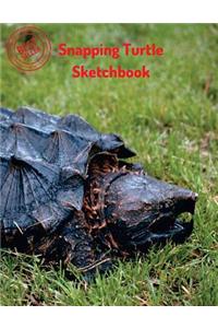 Snapping Turtle Sketchbook