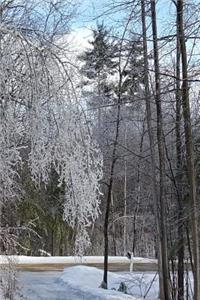 2019 Weekly Planner Winter Ice Storm Birch Tree Snow Covered 134 Pages