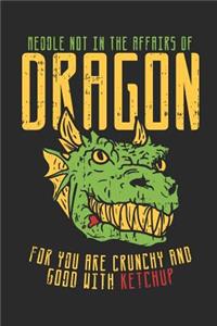 Meddle Not in the Affairs of Dragons