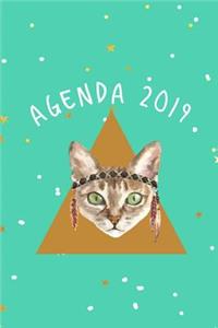 Agenda 2019: Agenda Mensual Y Semanal + Organizador I Cubierta Con Tema de Gatos Enero 2019 a Diciembre 2019 6 X 9in