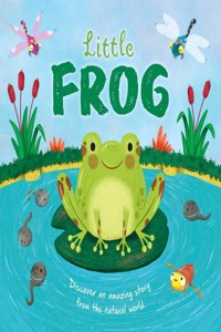 Nature Stories: Little Frog-Discover an Amazing Story from the Natural World