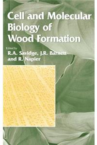 Cell and Molecular Biology of Wood Formation