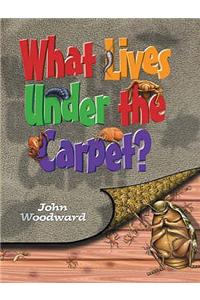 What Lives Under the Carpet?