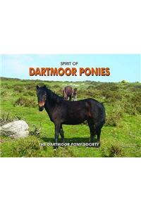 Spirit of Dartmoor Ponies