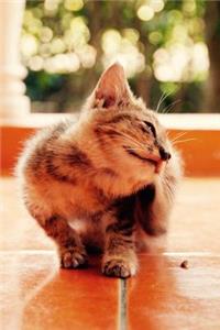 Cute Little Kitty Getting Scratched Behind her Ear Journal