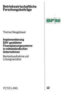 Implementierung EDV-gestuetzter Finanzplanungssysteme in mittelstaendischen Unternehmen