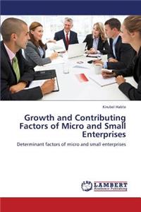 Growth and Contributing Factors of Micro and Small Enterprises