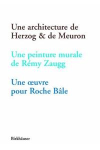 Une Architecture de Herzog & de Meuron, Une Peinture Murale de Rémy Zaugg, Une Oeuvre Pour Roche Bâle