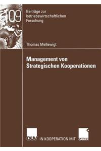 Management von Strategischen Kooperationen