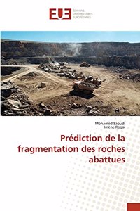 Prédiction de la fragmentation des roches abattues