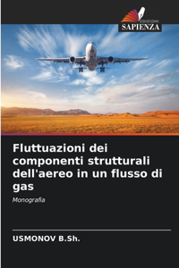 Fluttuazioni dei componenti strutturali dell'aereo in un flusso di gas