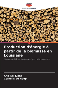 Production d'énergie à partir de la biomasse en Louisiane