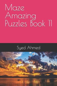 Maze Amazing Puzzles Book 11