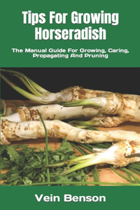 Tips For Growing Horseradish