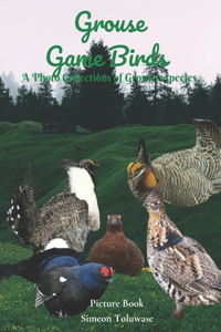 Grouse Game Birds A Photo Collections of Grouse's species Picture Book