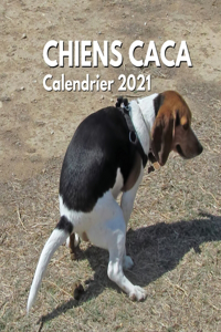 Chiens Caca Calendrier 2021