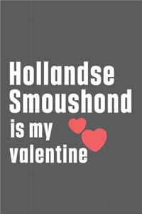 Hollandse Smoushond is my valentine