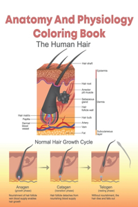 Anatomy And Physiology Coloring: Entertaining And Instructive Guide To The Human Body - Bones, Muscles, Blood, Nerves And How They Work