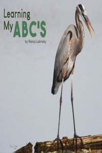 Learning My ABC's