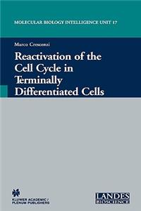Reactivation of the Cell Cycle in Terminally Differentiated Cells