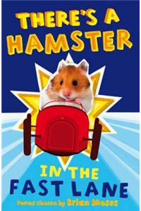 There's a Hamster in the Fast Lane