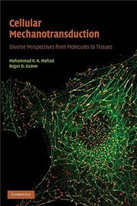 Cellular Mechanotransduction