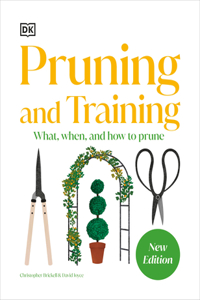 Pruning and Training