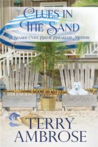 Clues in the Sand