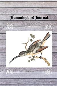 Hummingbird Journal. Blank Lined Notebook For Bird Enthusiasts And Nature Lovers