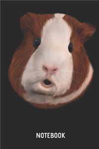 Meerschweinchen - Notizbuch