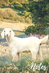 Goat Notebook