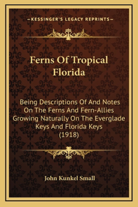 Ferns Of Tropical Florida
