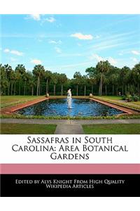 Sassafras in South Carolina: Area Botanical Gardens