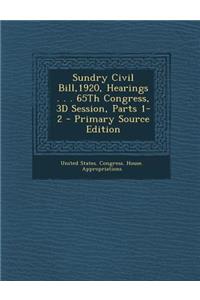 Sundry Civil Bill,1920, Hearings . . . 65th Congress, 3D Session, Parts 1-2 - Primary Source Edition