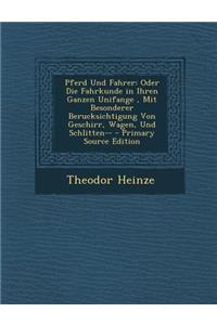 Pferd Und Fahrer