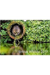 British Wildlife 2017