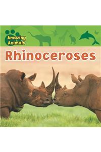 Rhinoceroses