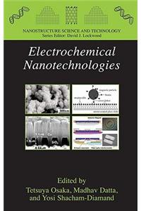 Electrochemical Nanotechnologies