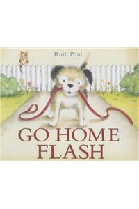 Go Home Flash