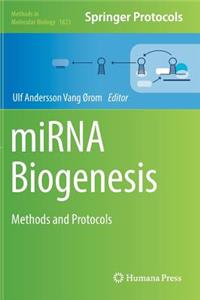 Mirna Biogenesis