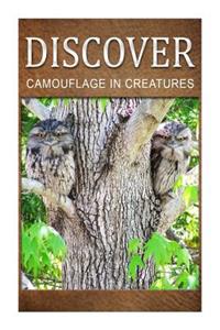 Camouflage In Creatures - Discover