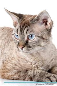 Devon Rex Affirmations Workbook Devon Rex Presents